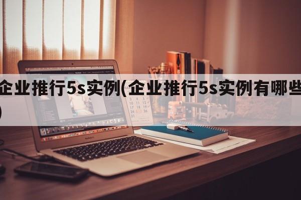 企业推行5s实例(企业推行5s实例有哪些)